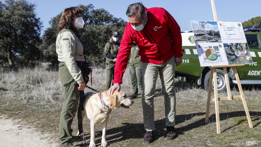 El consejero hablando con algunos agentes forestales