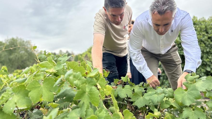 El consejero Carlos Novillo durante su visita a la finca El Encín del IMIDRA
