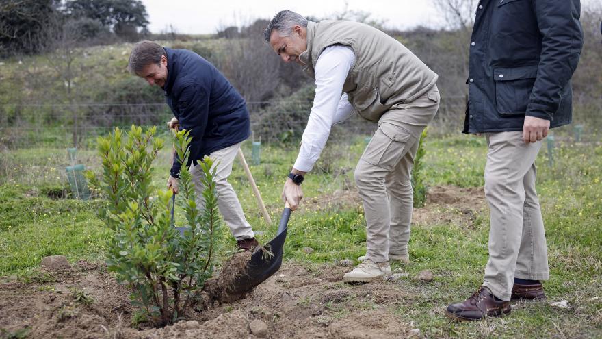 El consejero Carlos Novillo durante su visita a los trabajos de acondicionamiento del parque ecológico Valdeloshielos en Tres Cantos