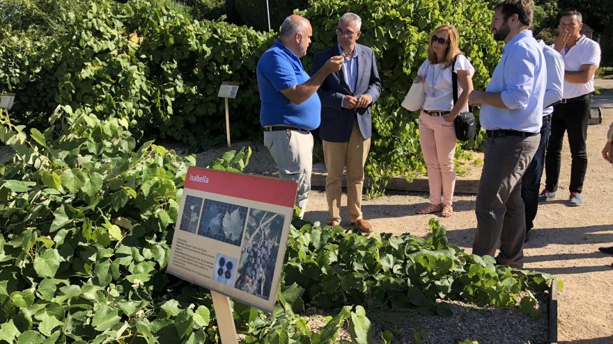 Izquierdo visita en la finca experimental de El Encín la colección de vides más importante de España