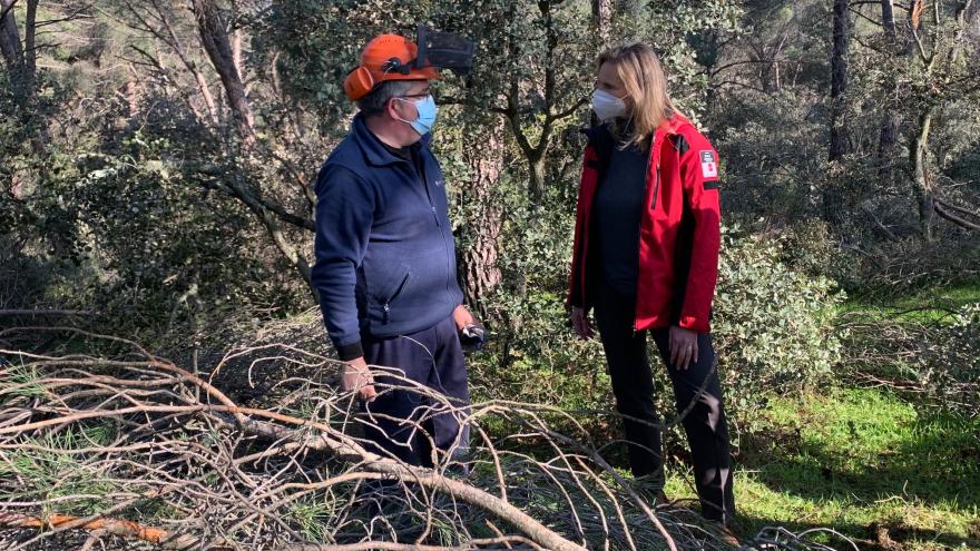 La Comunidad actuará sobre más de 600 hectáreas de 31 municipios dañadas por la borrasca Filomena