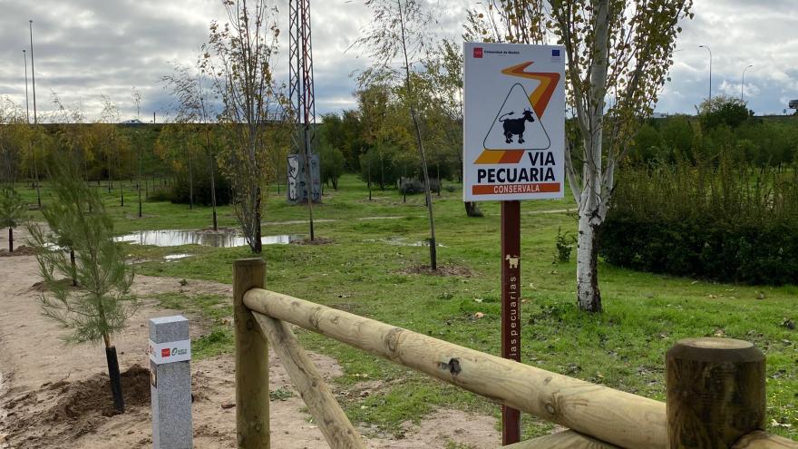 Martín visita las obras de Arco Verde en Alcobendas