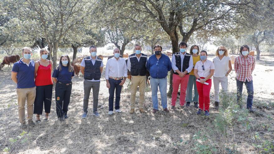 a Comunidad de Madrid promueve el pastoreo controlado como medio para prevenir los incendios forestales