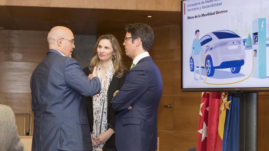 Paloma Martín durante la reunión con los expertos de la Mesa para el Fomento de la Movilidad Eléctrica