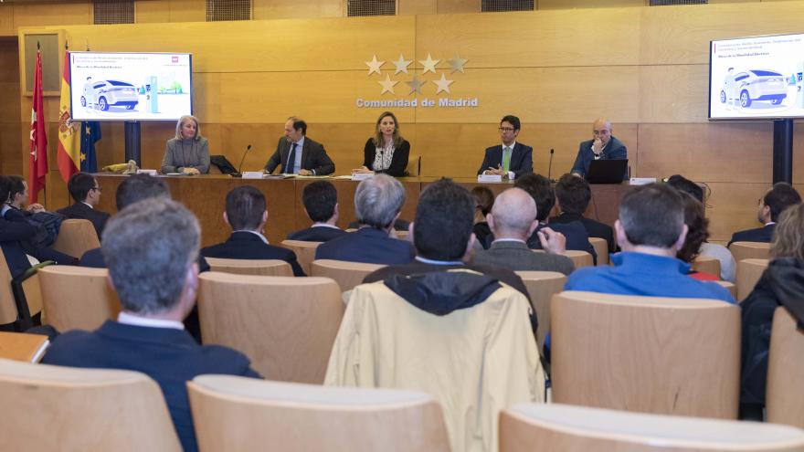 Paloma Martín durante la reunión con los expertos de la Mesa para el Fomento de la Movilidad Eléctrica