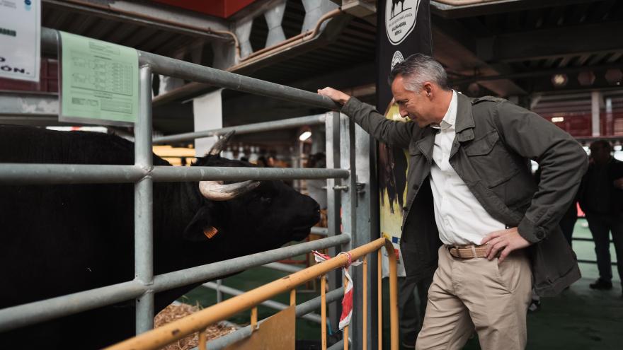 Novillo visita en Colmenar Viejo la 87 edición de la Subasta Nacional de Ganado Selecto El consejero Carlos Novillo durante la Subasta Nacional de Ganado Selecto