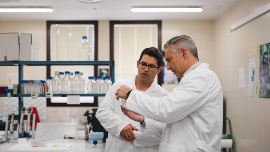 Novillo visita en Colmenar Viejo el Laboratorio Regional de Sanidad Animal El consejero Carlos Novillo durante su visita al Laboratorio Regional de Sanidad Animal
