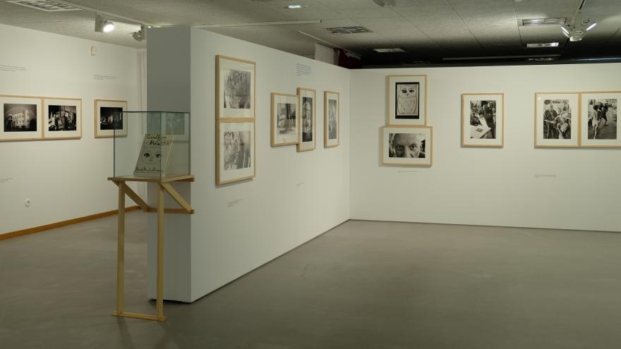 La Comunidad presenta la faceta familiar y creativa de Picasso con una exposición de 60 fotografías