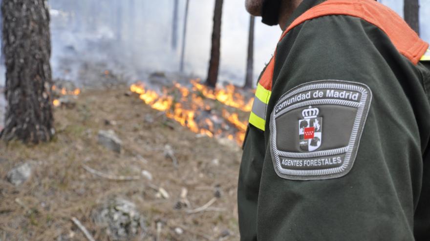 Imagen de agentes forestales en incendio