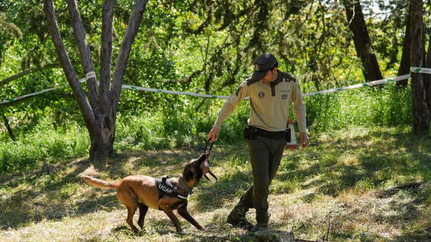 Agente Forestale con perro