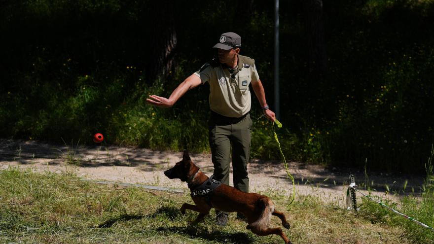 Agente Forestale con perro
