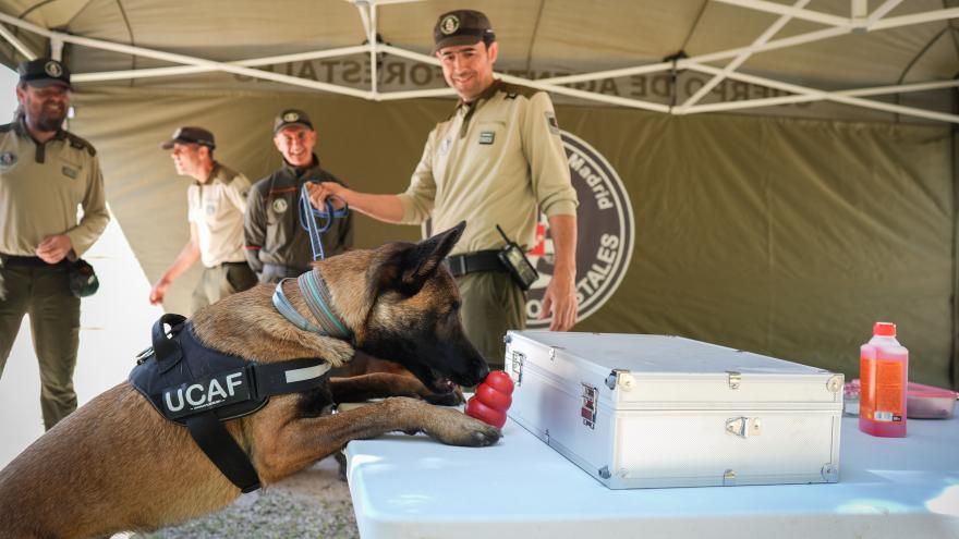 Agentes Forestales con perro