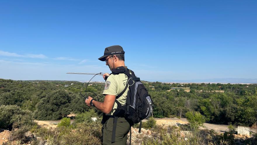 Agente Forestal