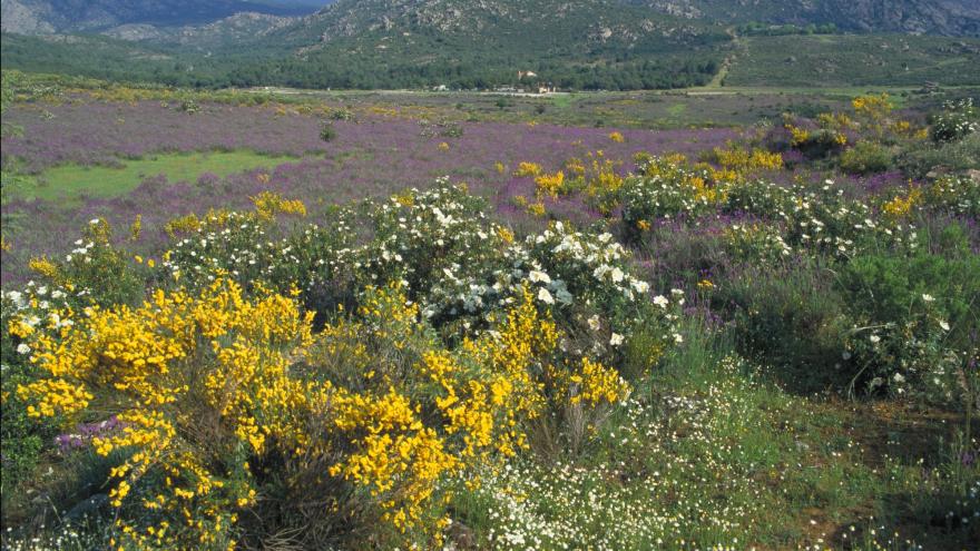 Cuenca Alta del Manzanares y parque del Río Guadarrama - Material fotográfico
