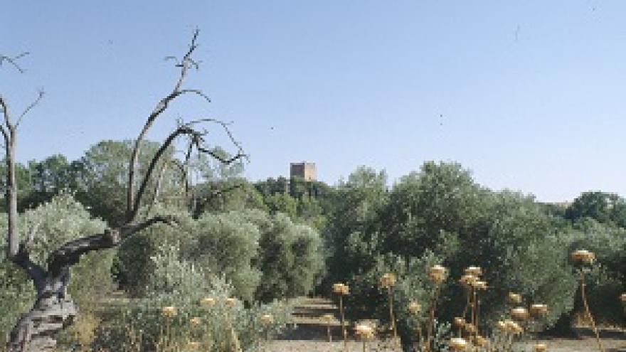 Castillo y huerta Batres