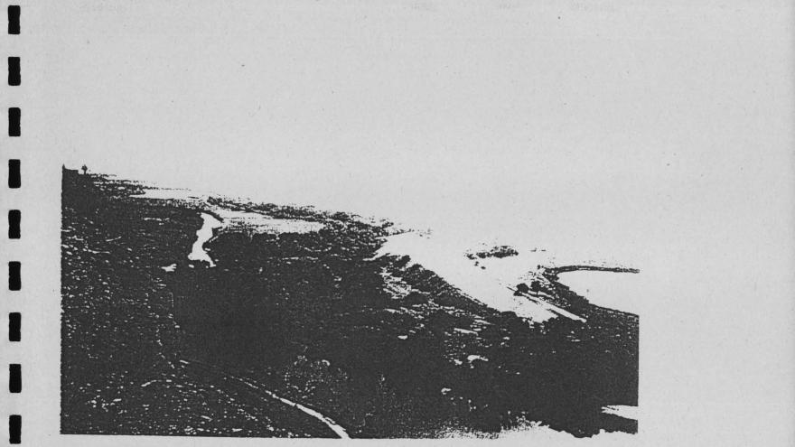 Plan de ordenación