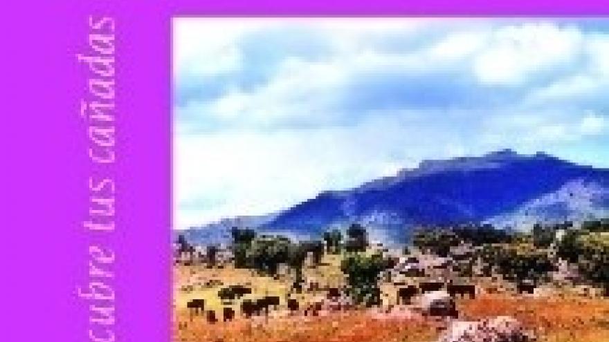 Rutas por las dehesas de Colmenar Viejo 
