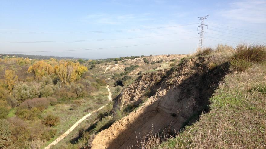 calatalifa yacimiento