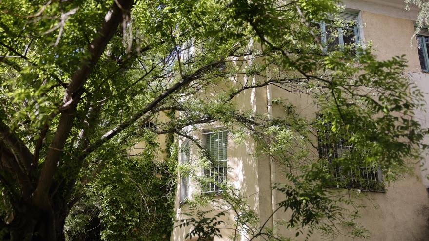 Jardín de Velintonia fachada de una casa parcialmente cubierta con un árbol
