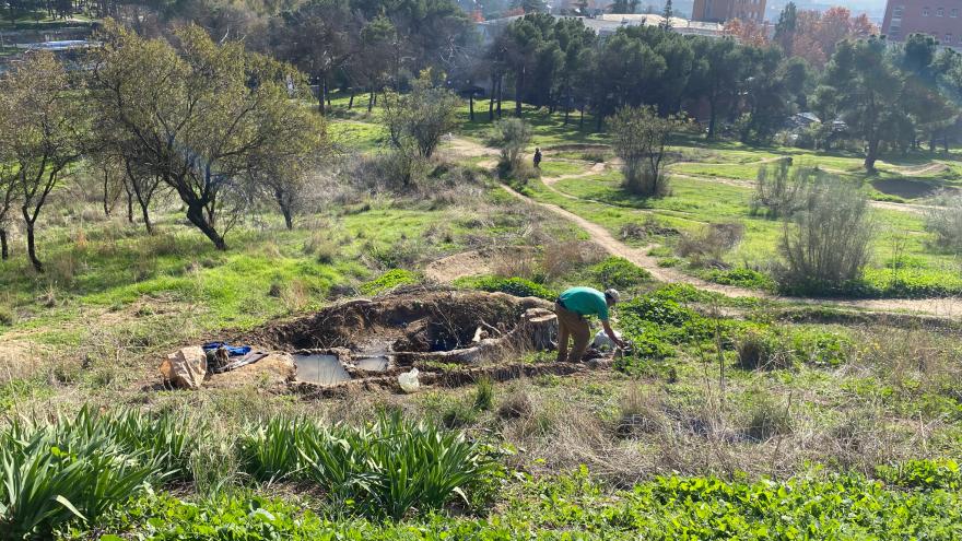 paisaje de árboles con un señor en primer plano trabajando la tierra, al fondo el perfil urbano de una ciudad