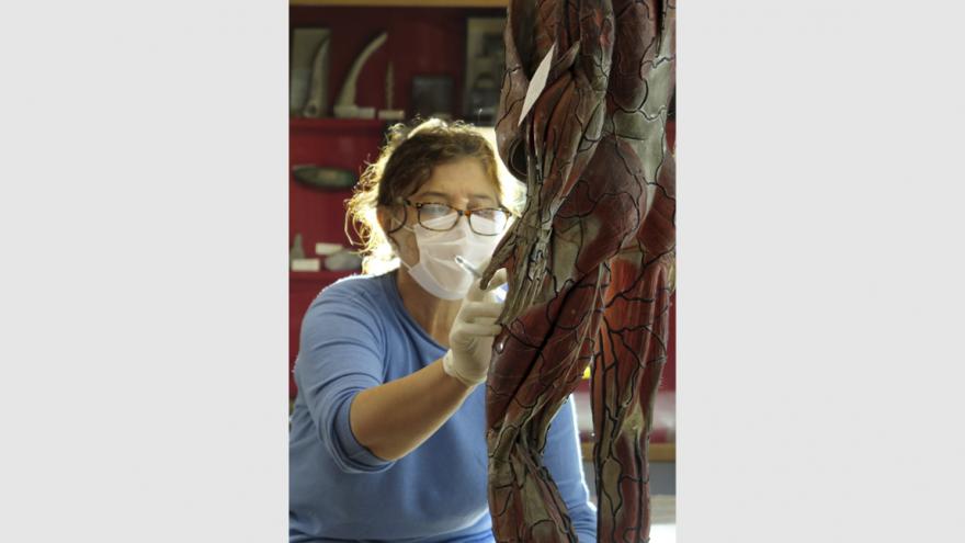 Imagen de una restauración
