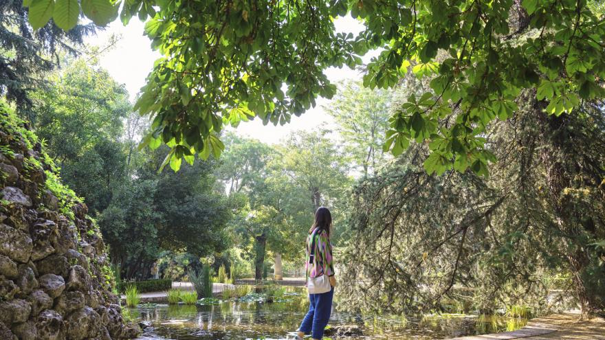 Mujer de espaldas en unos jardines