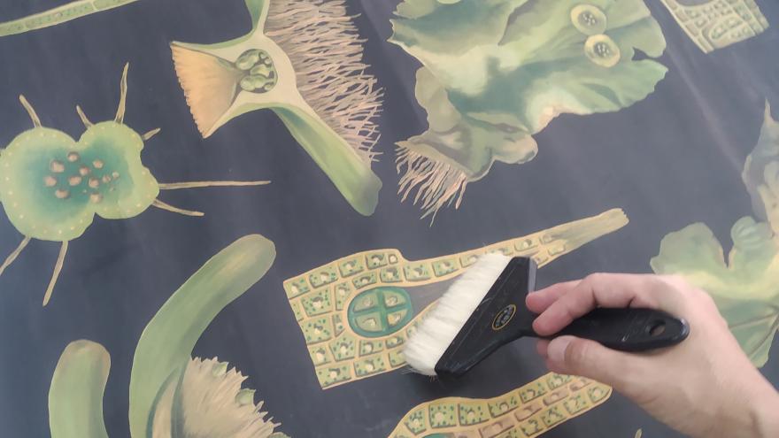 imagen del proceso de limpieza de una lámina didáctica