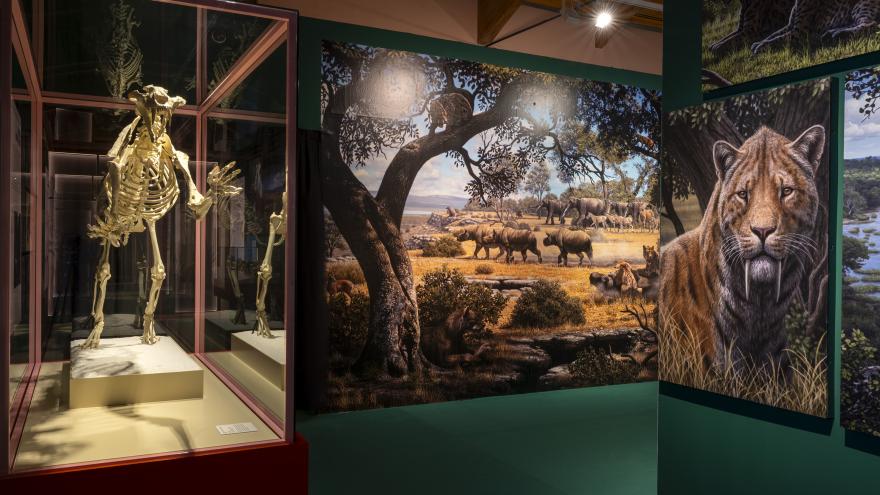 La Comunidad de Madrid inaugura la II edición del Festival Riesgo con dos producciones internacionales de circo contemporáneo Imagen del festival