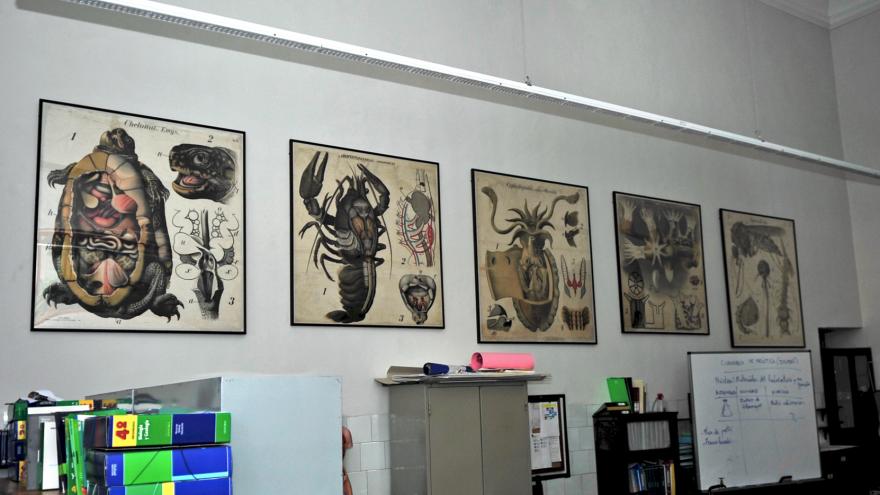 El Laboratorio de Ciencias Naturales con Láminas explicativas