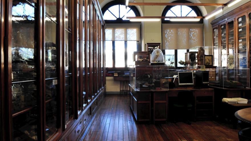 El Gabinete de Historia Natural Segunda Sala