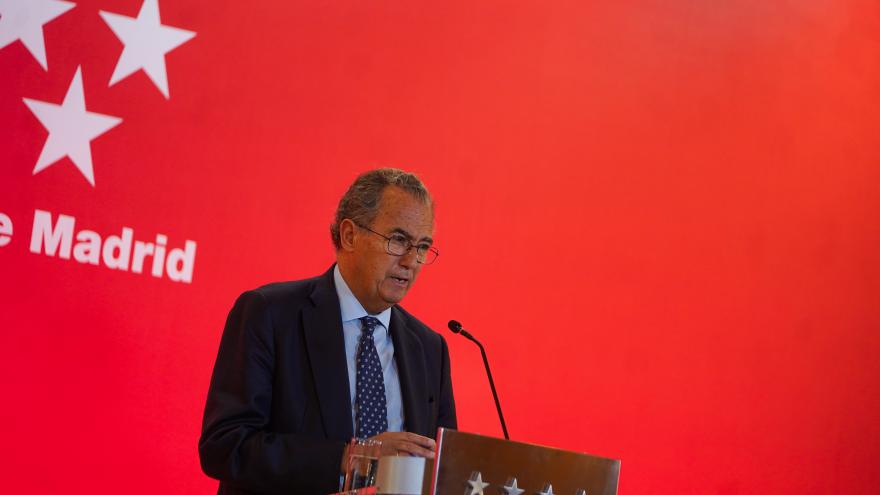 El vicepresidente