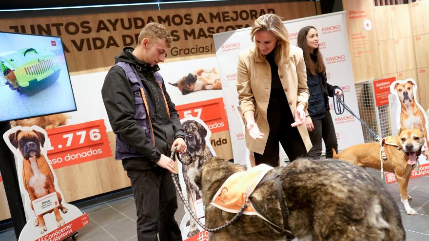 La consejera Paloma Martín con los perritos durante la presentación de la campaña