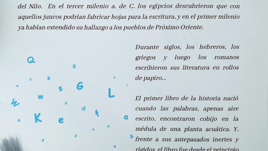 El fragmento del libro que explica el por qué de su título " El infinito en un junco"