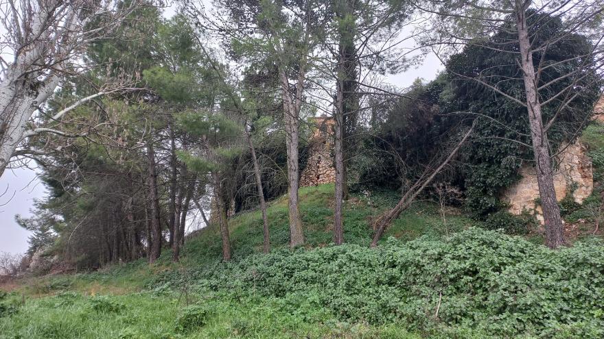 Estado inicial de la Torre albarrana antes de las intervenciones imagen del entorno del castillo con abundante vegetación