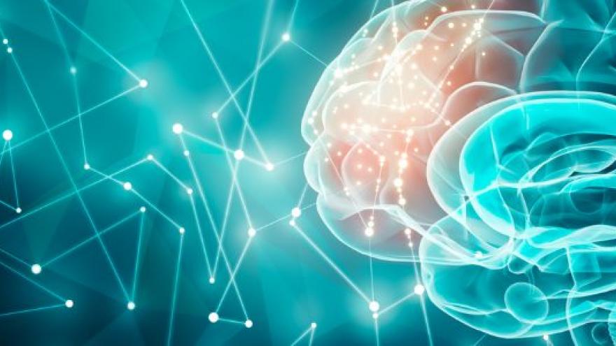 Ilustración del cerebro con parte occipital iluminada con color rojo y el resto iluminado en tonos azules