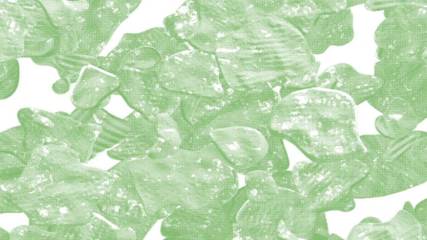 Manchas abstantas en color verde, como si fuera gotas de agua y hojas