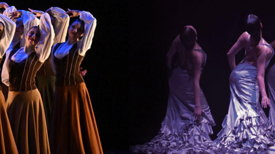 Foto de Espectáculo danza española