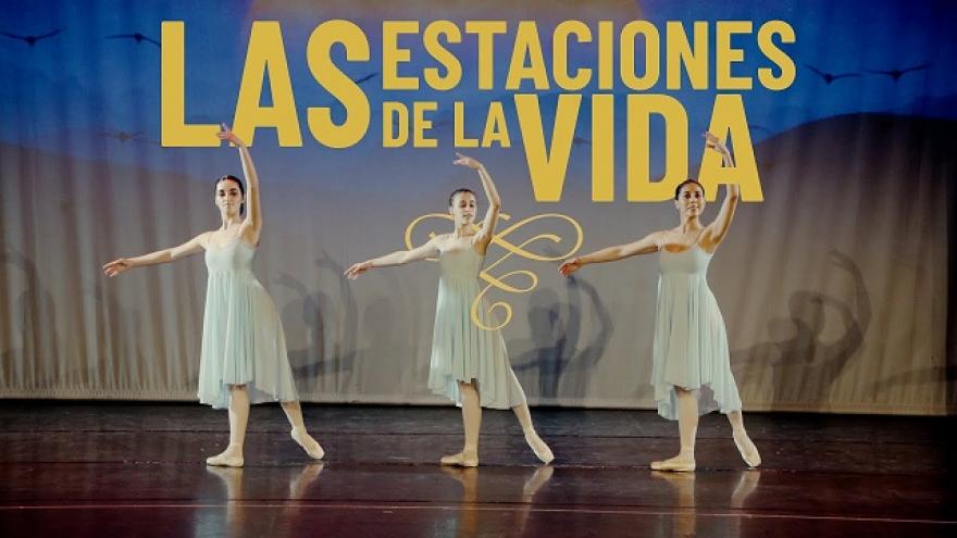 imagen decorativa
