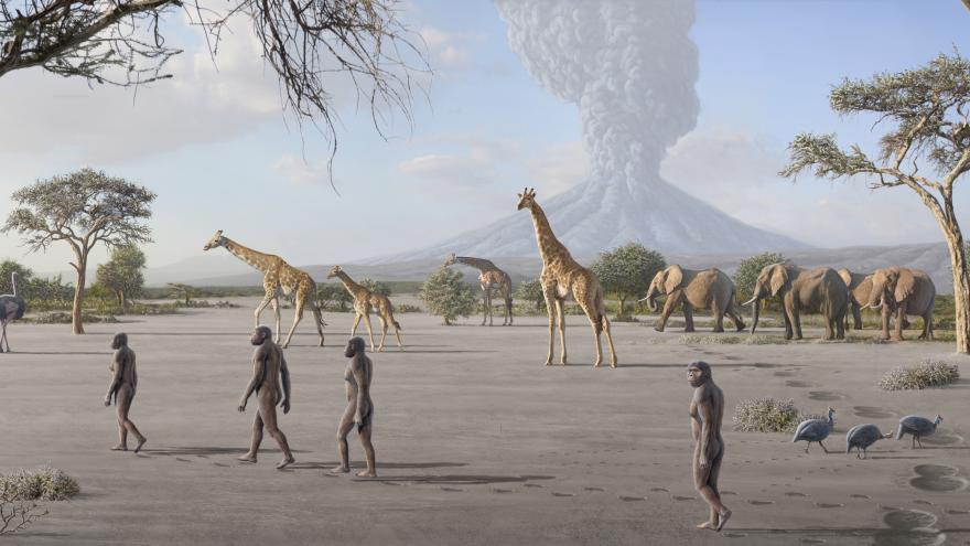 La cuna de la Humanidad