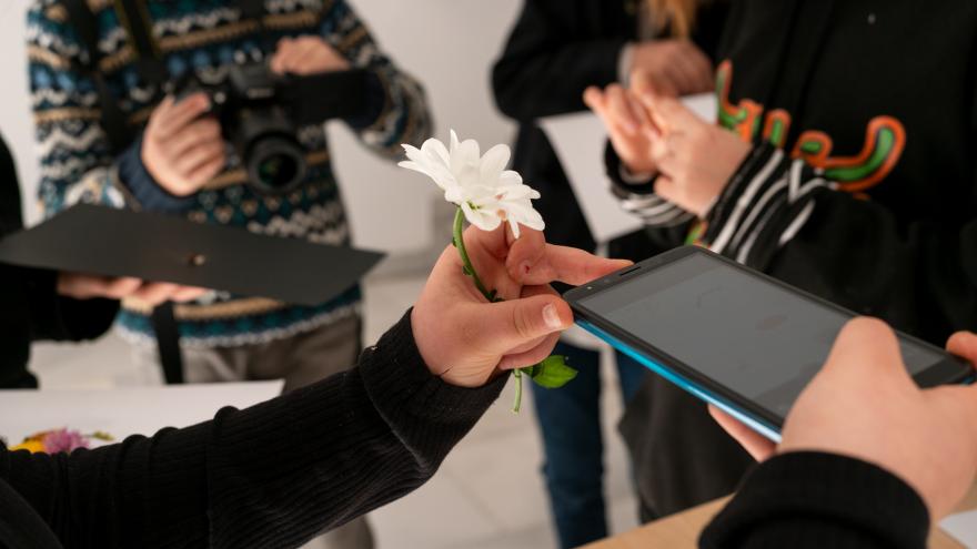 Varias manos adultas e infantiles haciendo fotografías con un móvil