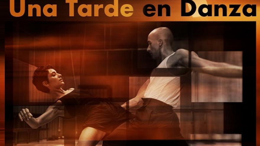 Cartel de Una Tarde en Danza