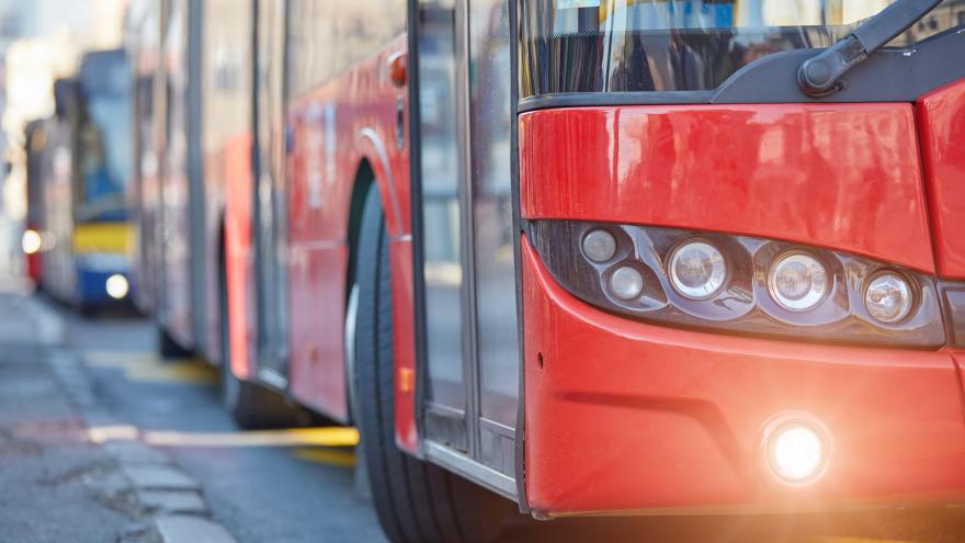 transporte autobus