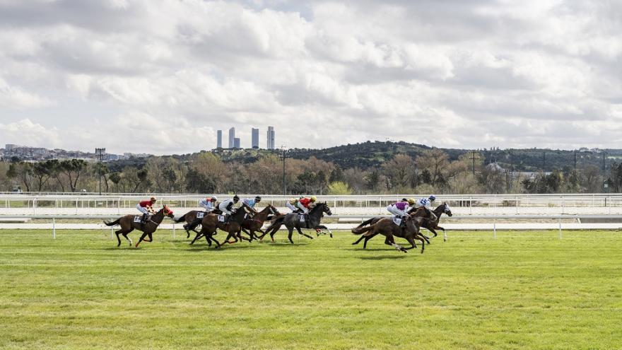 Carrera de caballos
