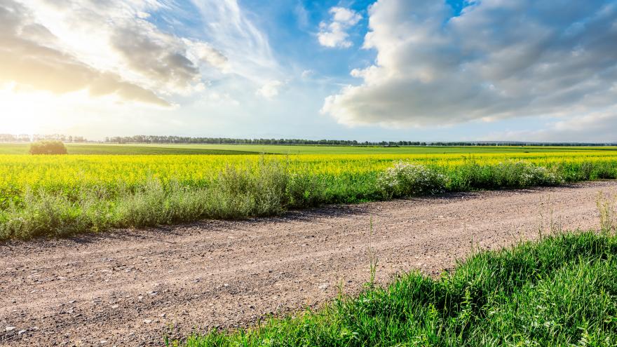 Un camino rural