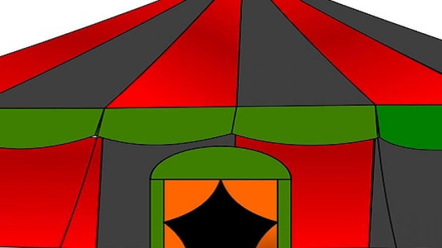 Bibliotecas en Navidad Circo