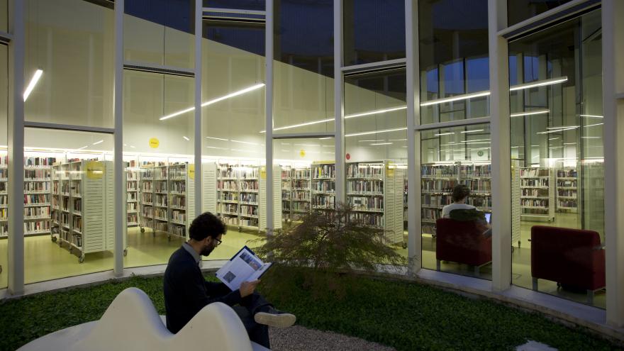 Biblioteca Luis Martín-Santos