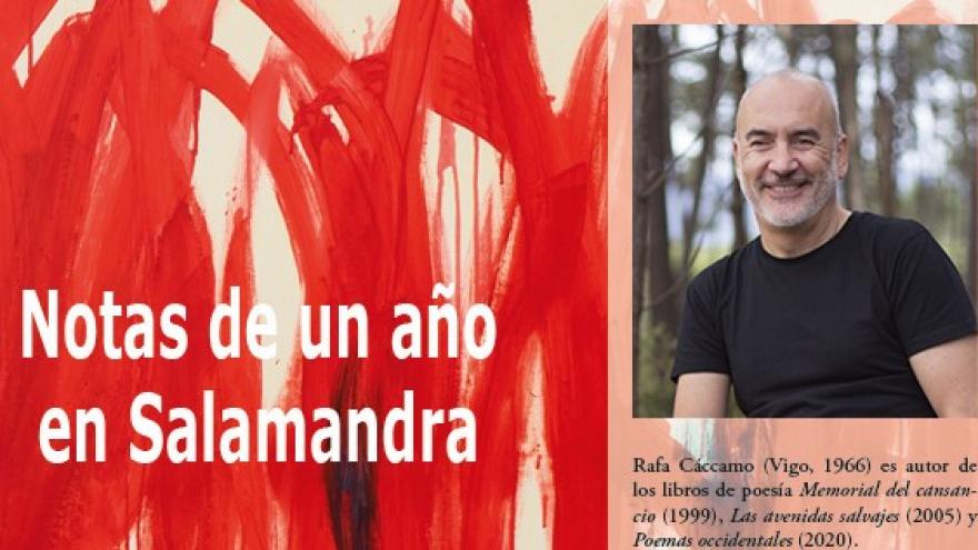 Notas año