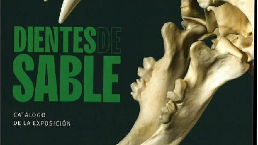 Portada catálogo exposición