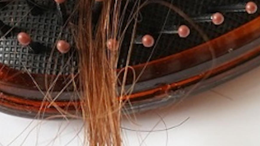 Imagen de un cepillo con pelo