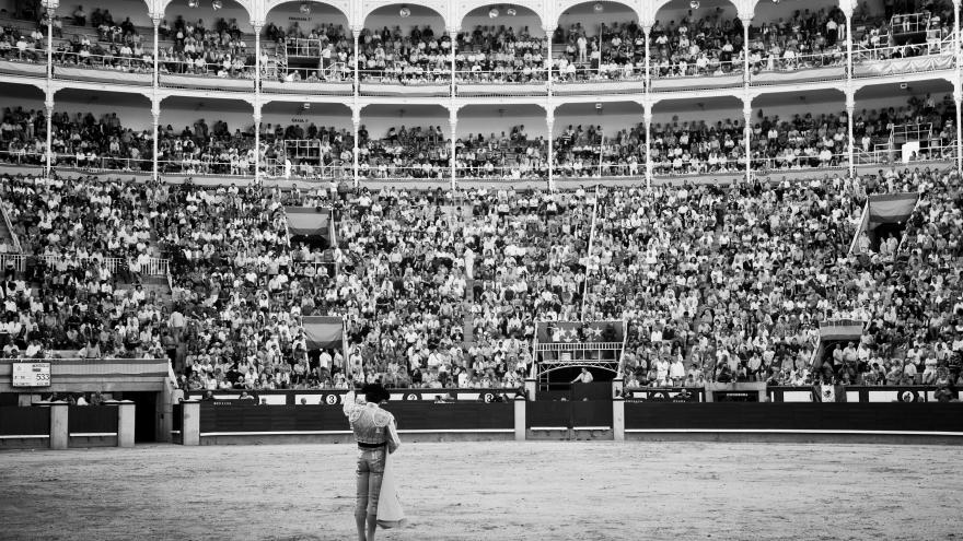 Lleno en Las Ventas (Autora: Laure Crespy)
